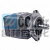 IGP-5-125，IGP-5-160，IGP-5-200 ，IGP-5-250 ，內嚙合齒輪泵