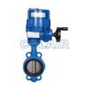LQ-DN40,LQ-DN50,LQ-DN65,LQ-DN80,LQ-DN100,LQ-DN125,電動(dòng)對夾蝶閥