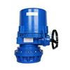 LQ4JS-200,LQ4JS-250,電動(dòng)執行器