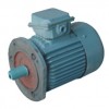 Y63-2,Y71-2,Y80-4,Y132M-6,Y100L-4,Y160L-8,Y280S-8,Y225S-4,三相異步電動(dòng)機