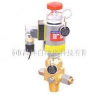 RF6/6.6,電磁驅動(dòng)容器閥