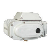 DCL-Ex05G,DCL-Ex10G,DCL-Ex20G,DCL-Ex40G,DCL-Ex60G,DCL-100G,DCL-200G, DCL-Ex05C,DCL-Ex10C,DCL-Ex20C,DCL-Ex40C,DCL-Ex60C,DCL-100C,DCL-200C, DCL-Ex05D,DCL-Ex10D,DCL-Ex20D,DCL-Ex40D,DCL-Ex60D,DCL-Ex100D,DCL-Ex200D,電動(dòng)執行器