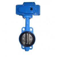 W-W1124-EK-DN50,W-W1124-EK-DN65,W-W1124-ET-DN80,W-W1124-ET-DN100,對夾中線(xiàn)蝶閥