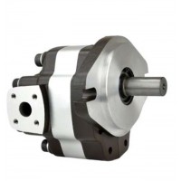 G5-5,G5-6,G5-8,G5-12-1E13S-20-R,G5-10,G5-12,G5-16,G5-30-1E13S-20R，G5-20,G5-25,G5-30,G5-25-A13S-20-R，單聯(lián)齒輪泵