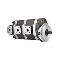 G5-25-20-12-08-1E13S-20L，G5-12-8-6-AH15S-20-L，G5-8-8-10-1E13S-20R,G5-25-10-10-1E13S-20R，多聯(lián)高壓齒輪泵